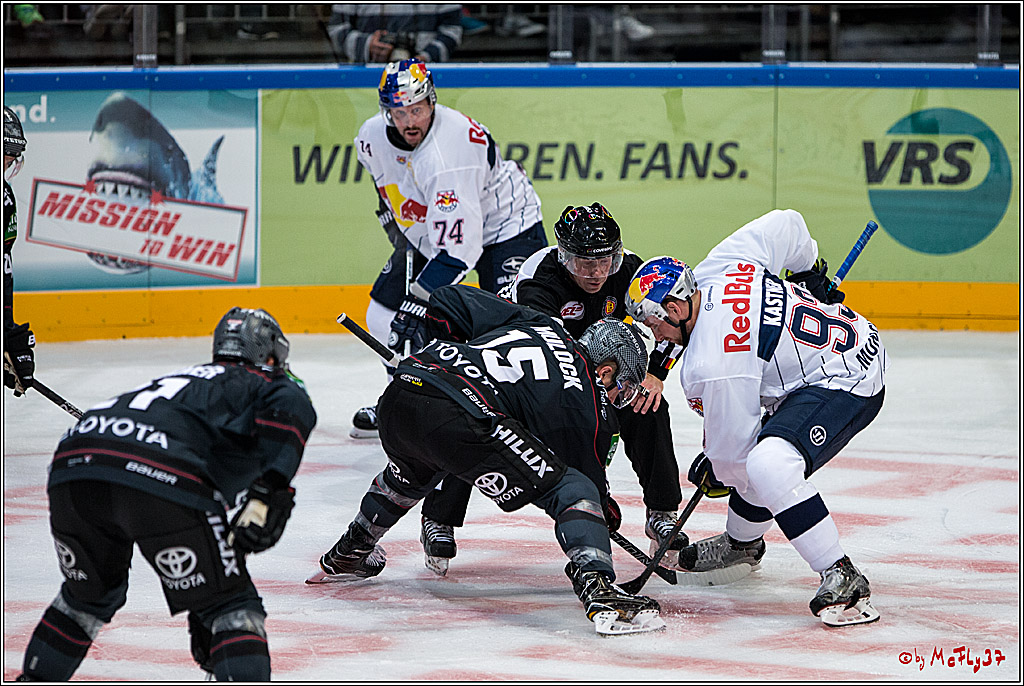 Koelner Haie - EHC Red Bull Muenchen , 16.09.16(KW37)